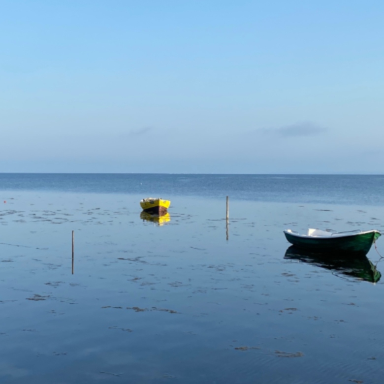 fish boats on hel peninsula