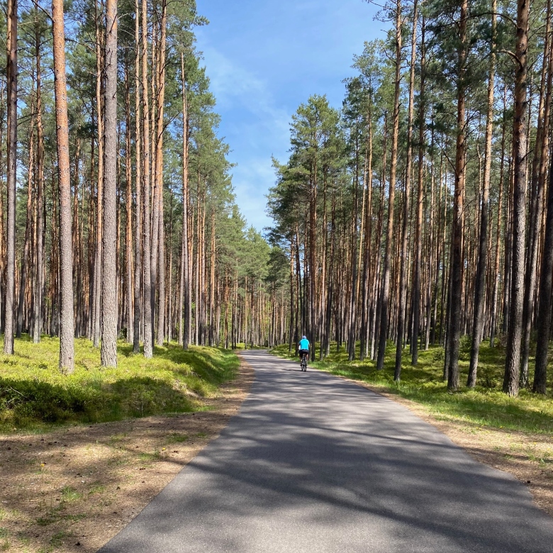 biking trails in tuchola forests